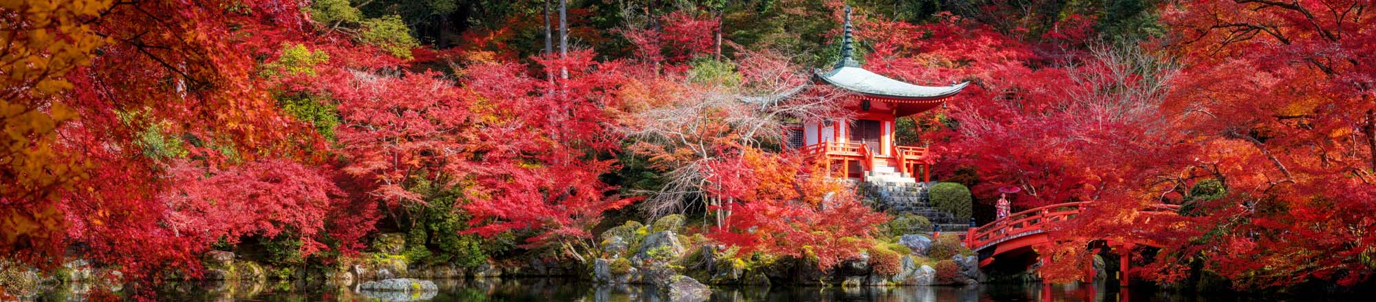 Autumn Foliage at Japanese Temple Garden A stunning Japanese temple with a red pagoda nestled among vibrant red and orange autumn maple
