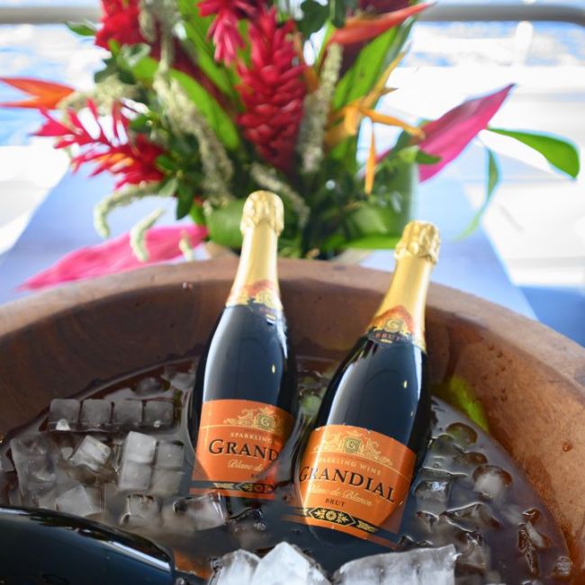 Champagne Celebration with Tropical Flowers Two bottles of Grand Cuvée champagne chilling in ice within a wooden bowl, elegantly displayed alongside a vibrant tropical flower arrangement featuring red and pink ginger flowers, perfect for celebrating special moments aboard a cruise or tropical destination.