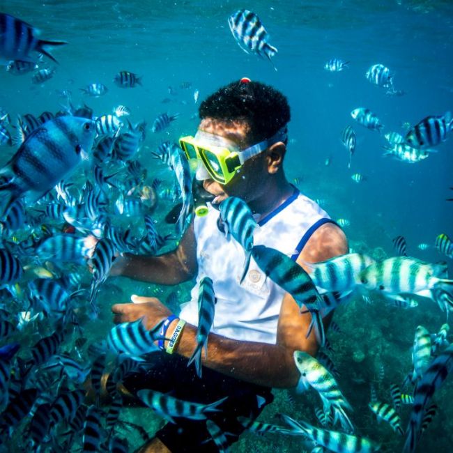 Snorkeling Adventure with Tropical Fish School A snorkeler in vibrant yellow and lime green snorkeling gear is completely surrounded by a large school of blue and white striped tropical fish in crystal clear turquoise water, capturing an exciting underwater encounter typical of tropical cruise destinations.