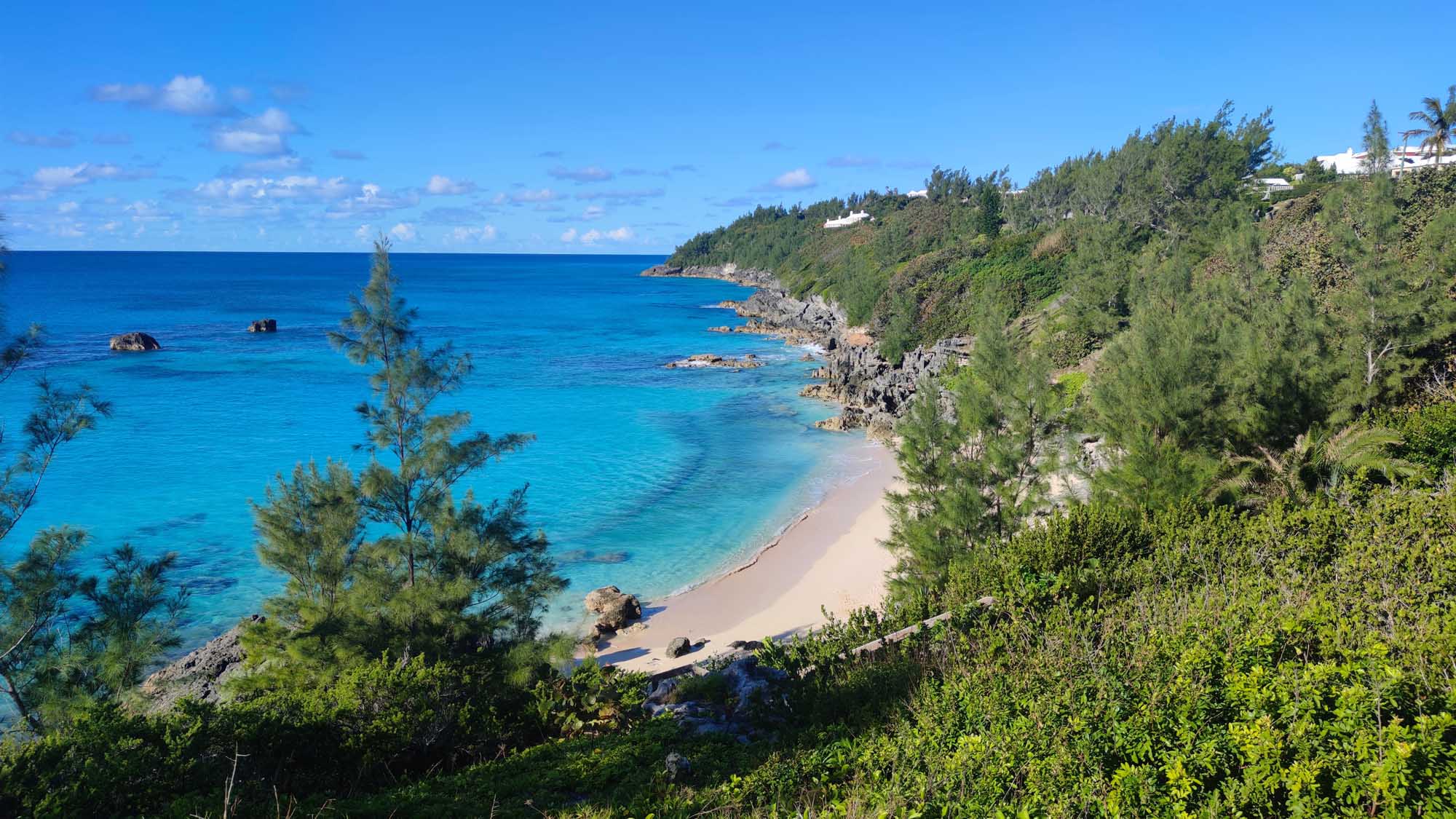 Bermuda Tropical Coastal Beach Cove A pristine tropical beach cove nestled between lush green cliffside vegetation and turquoise Atlantic waters, featuring pink-hued sand, rocky outcrops, and whitewashed colonial architecture visible on the hilltop above.