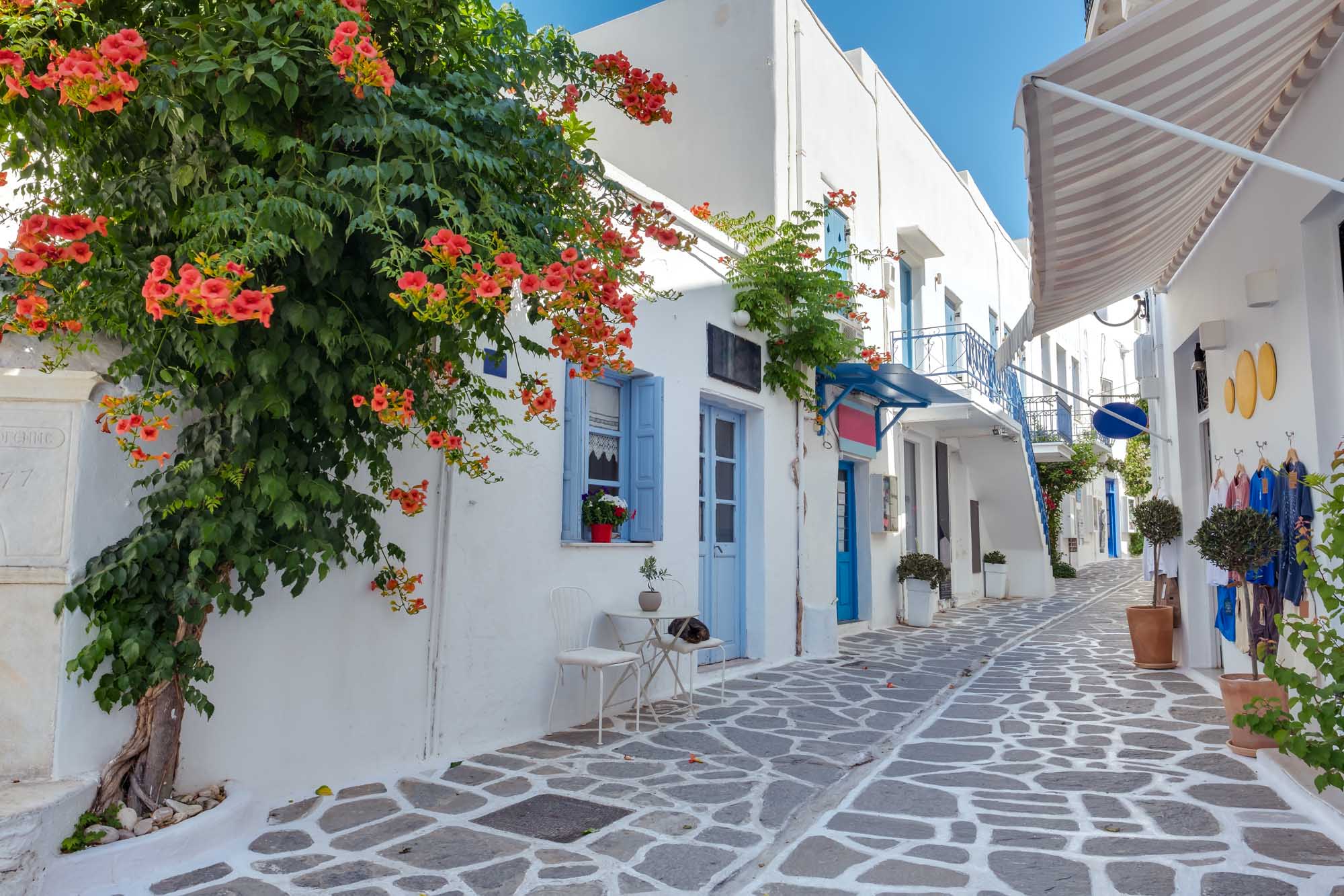 Charming Whitewashed Street in Parikia, Paros A picturesque narrow alley in the old town of Parikia featuring traditional Cycladic architecture with whitewashed buildings, bright blue doors and shutters, and vibrant bougainvillea flowers cascading over the walls. The cobblestone street is lined with quaint shops and charming details typical of Greek island villages.