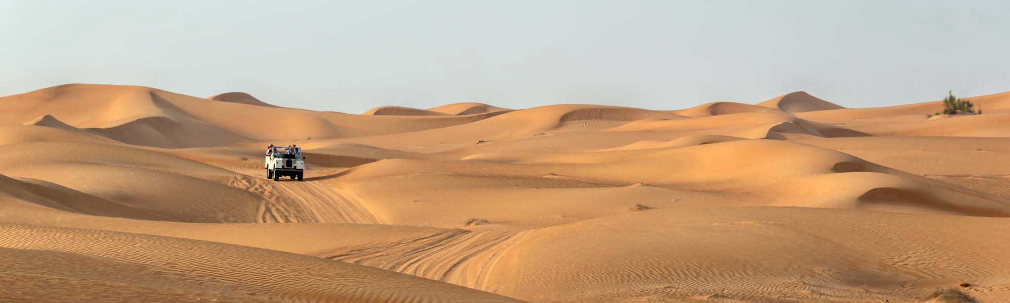 Desert Safari Vehicle Traversing Sand Dunes A white SUV navigates through rolling golden sand dunes in a vast desert landscape, with the vehicle creating distinctive tire tracks across the rippled sand. The dramatic lighting emphasizes the undulating topography and the solitary nature of desert exploration.