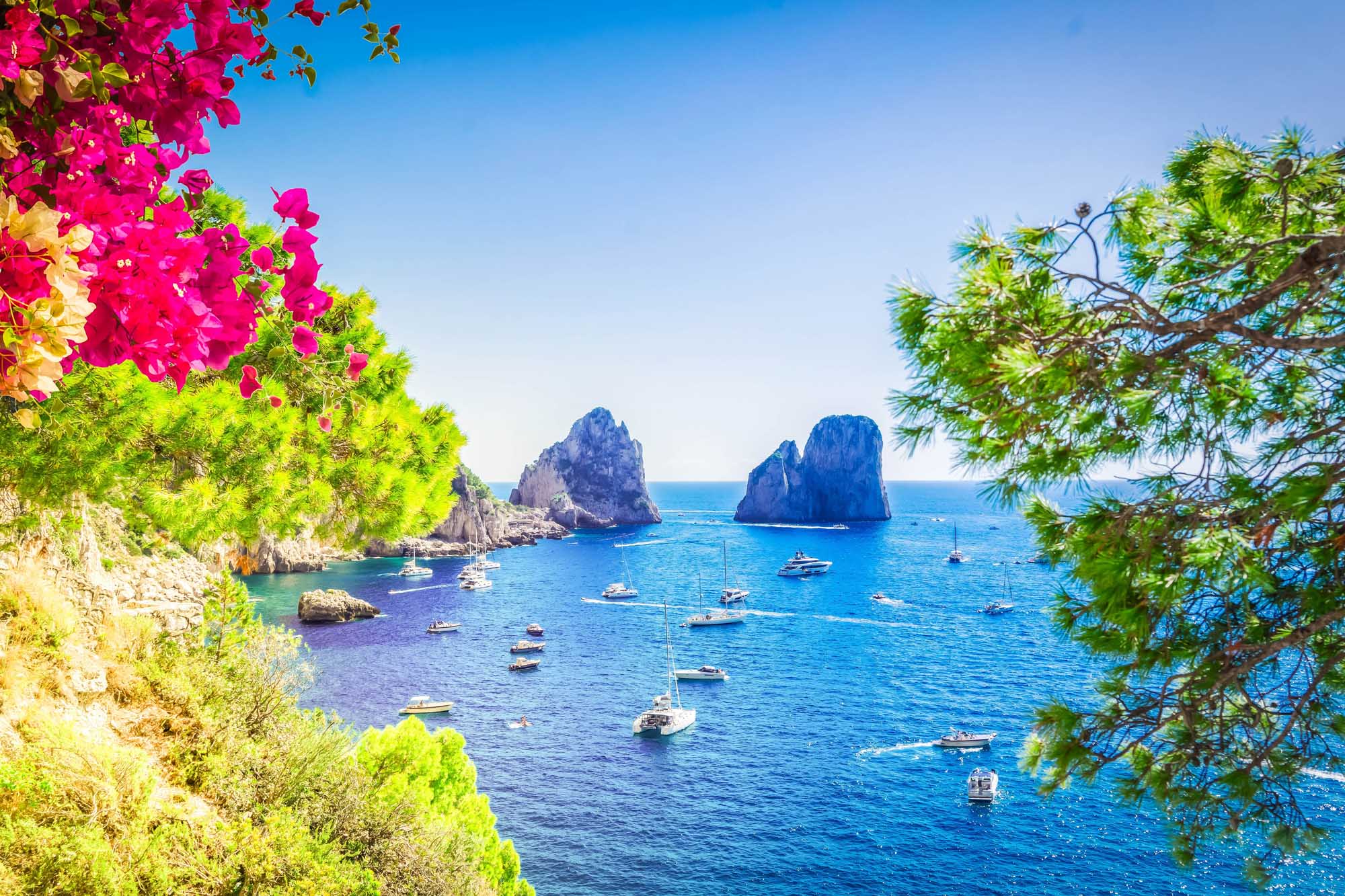 Faraglioni Cliffs Capri Island Coastal View A stunning Mediterranean coastal scene featuring the iconic Faraglioni rock formations off Capri, Italy, framed by vibrant magenta bougainvillea flowers and lush green vegetation. Multiple sailboats anchor in the crystal-clear turquoise waters below the dramatic limestone cliffs under a brilliant blue sky.
