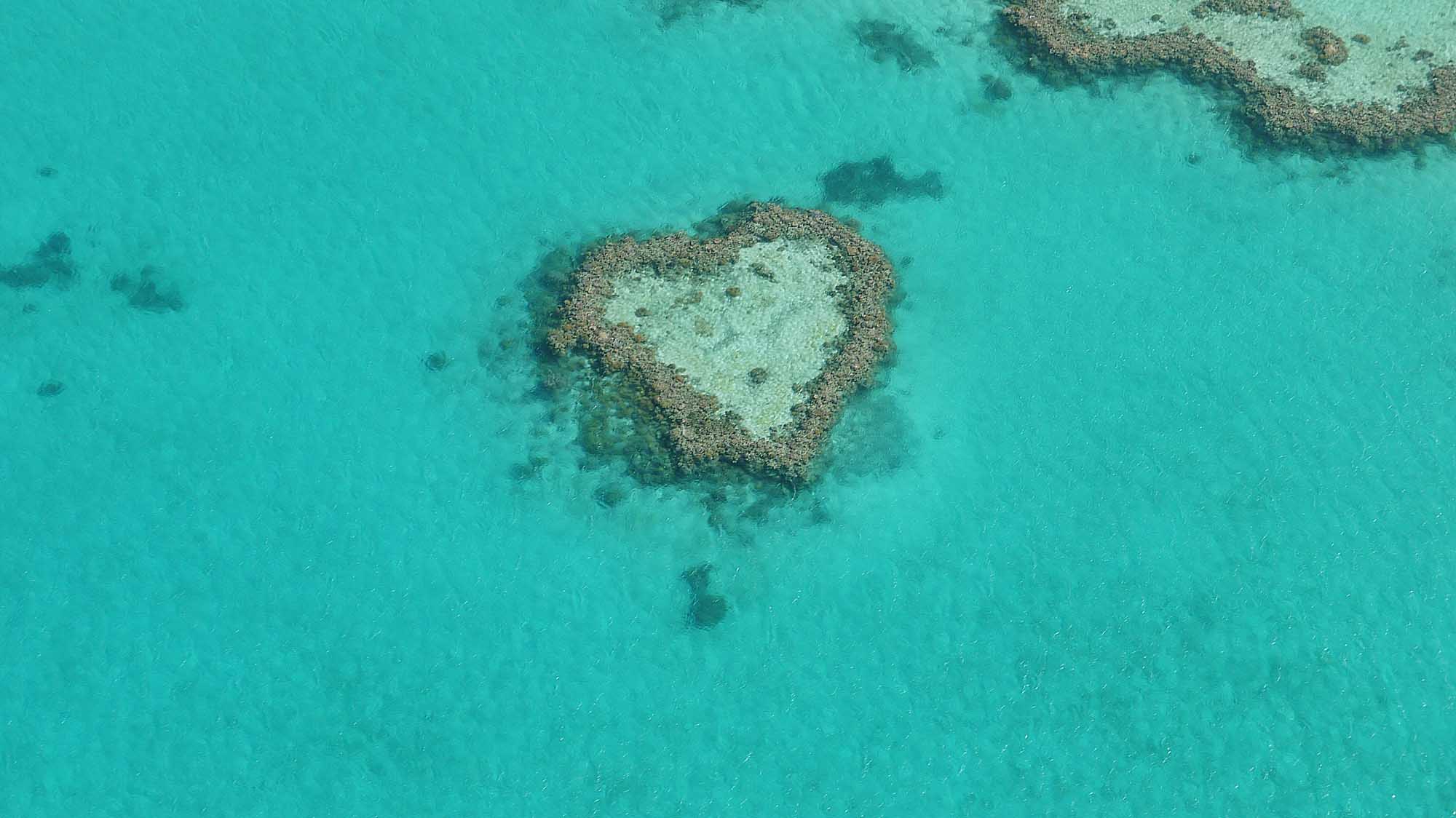 Heart Reef Aerial View, Great Barrier Reef An aerial photograph of Heart Reef, a naturally heart-shaped coral formation within Australia's