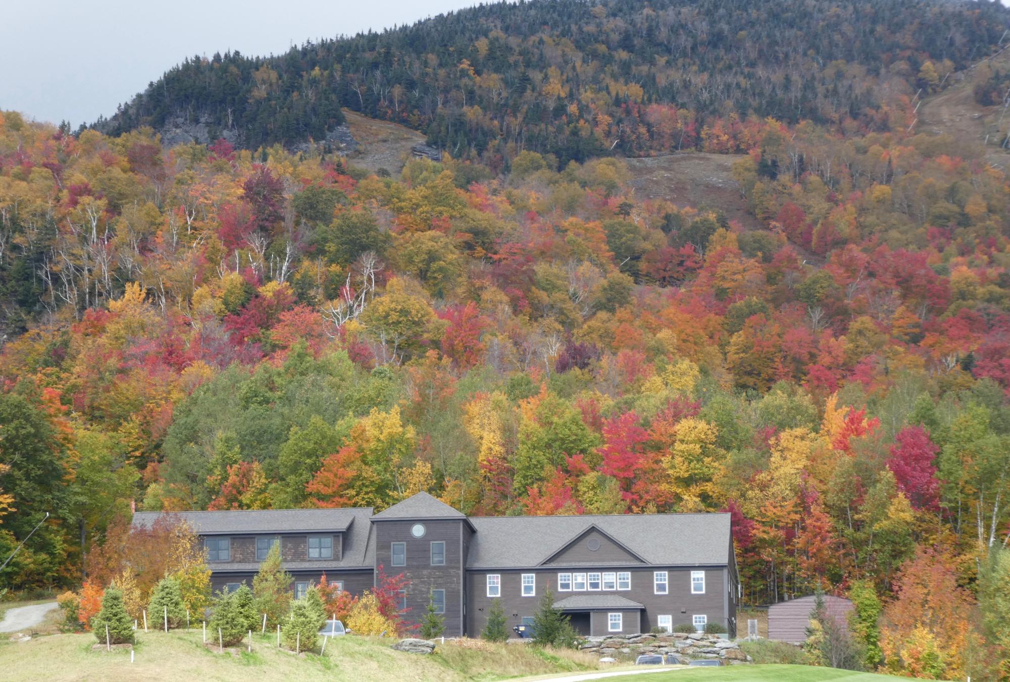 Mountain Estate in Autumn Foliage A modern dark-brown residential estate nestled at the base of forested mountains displaying vibrant