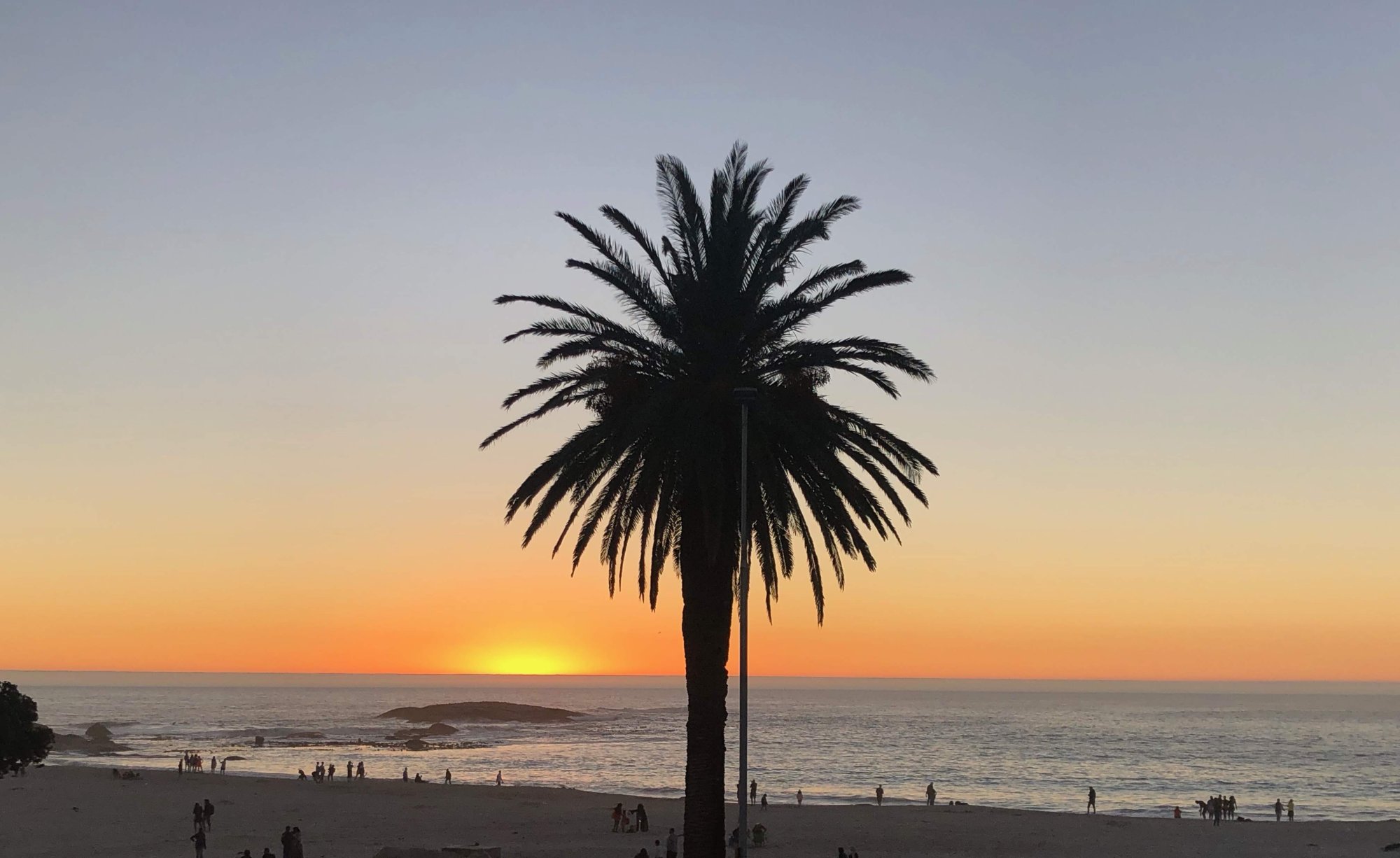 Palm Tree Silhouette at Sunset Beach A striking silhouette of a tall palm tree frames a golden sunset over the ocean, with a sandy beach and scattered beachgoers in the foreground. The warm orange and yellow tones of the setting sun reflect off the calm waters, creating an idyllic tropical or Mediterranean coastal scene.