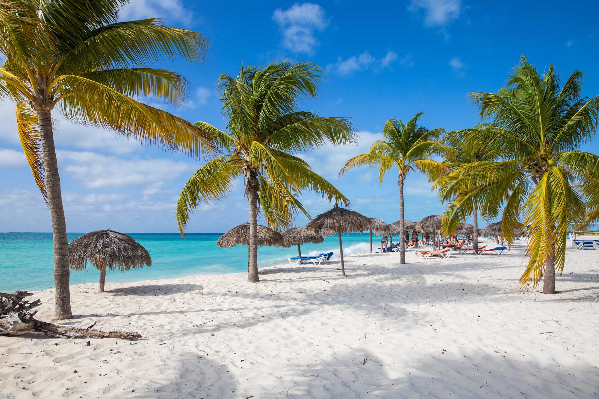 Playa Sirena Beach with Palm Trees and Thatched Umbrellas A stunning Caribbean beach scene featuring pristine white sand, crystal-clear turquoise waters, and coconut palm trees with traditional thatched umbrellas providing shade for sunbathers. The idyllic tropical setting showcases the natural beauty of this remote island destination with gentle waves and a picturesque horizon.