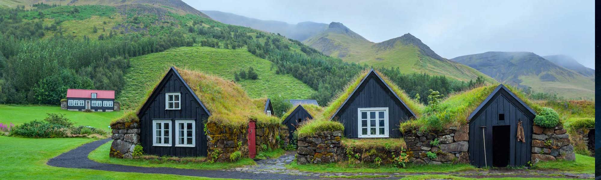 Traditional Turf-Roofed Houses in Iceland A picturesque cluster of historic Icelandic turf-roofed houses (túrf) with distinctive black wooden walls, white-framed windows, and moss-covered sod roofs nestled in a verdant valley. Snow-capped mountains and coniferous forests frame this traditional settlement, showcasing the iconic architectural heritage of rural Iceland.