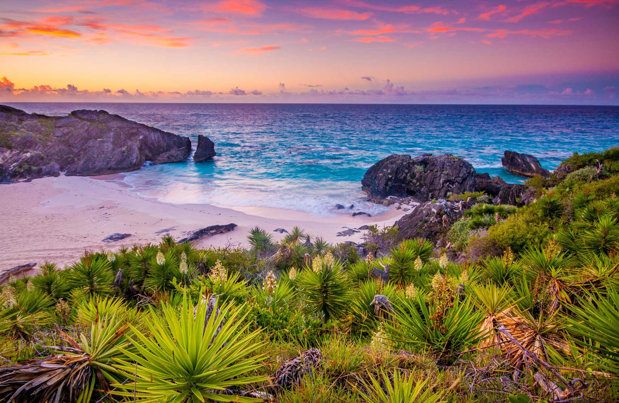 Tropical Beach Cove at Sunrise A stunning coastal scene featuring a pristine pink sand beach nestled between dramatic rocky outcrops, with vibrant tropical vegetation in the foreground and a breathtaking sunrise painting the sky in shades of purple, orange, and pink over turquoise waters.