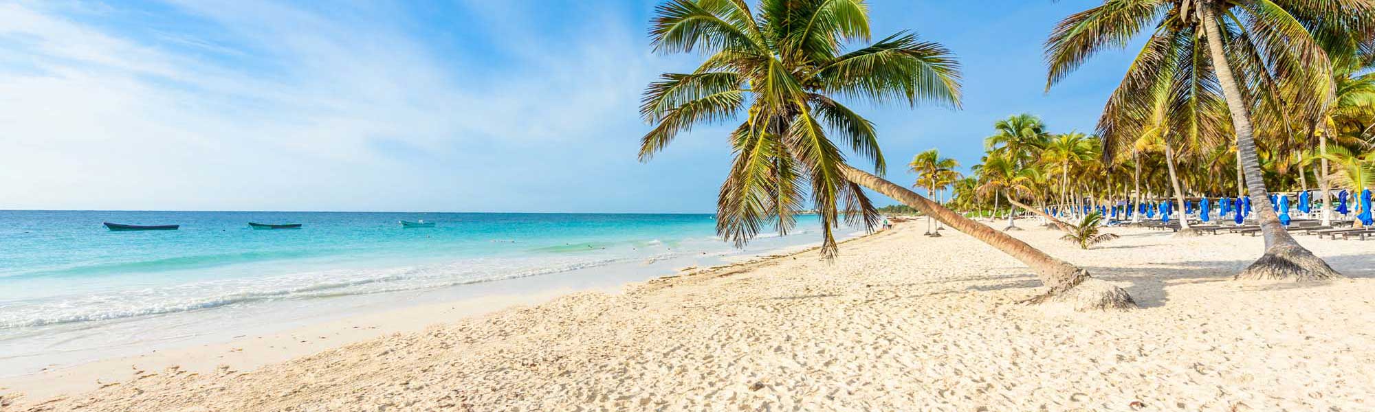 Tropical Beach with Palm Trees and Turquoise Waters A pristine tropical beach featuring soft white sand, crystal-clear turquoise waters, and swaying palm trees with small fishing boats visible offshore. Blue beach umbrellas and loungers line the shore in the background, indicating a popular resort or cruise destination.