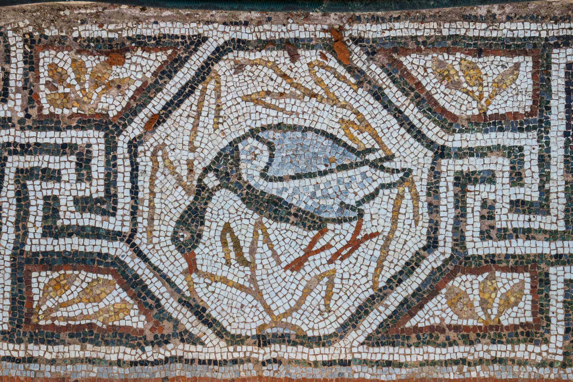 Ancient Mosaic at Heraclea Lyncestis A well-preserved ancient Roman mosaic featuring a detailed fish motif surrounded by decorative