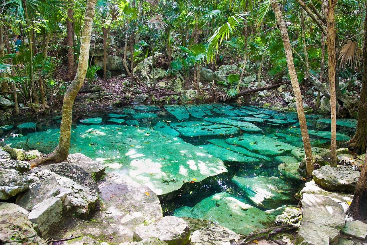 Cenote Azul Limestone Pit in Costa Maya, Mexico A stunning natural cenote featuring crystal-clear turquoise water surrounded by lush tropical