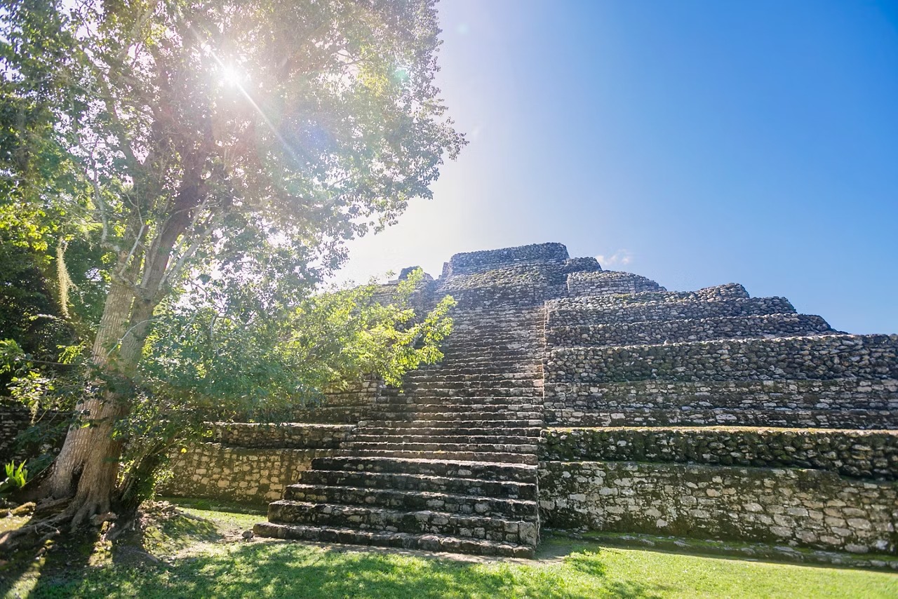 Chacchoben Mayan Ruins in Costa Maya, Mexico Ancient Mayan pyramid structure nestled within lush jungle canopy, featuring distinctive stepped