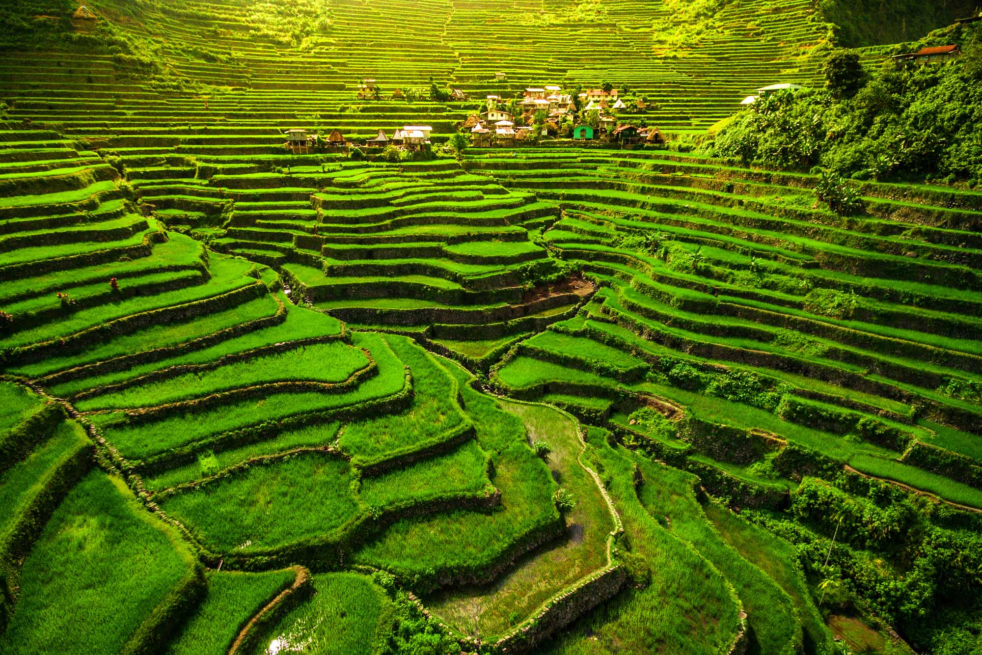 Ifugao Rice Terraces in Batad, Philippines A breathtaking aerial view of the UNESCO World Heritage-listed Ifugao rice terraces in Batad