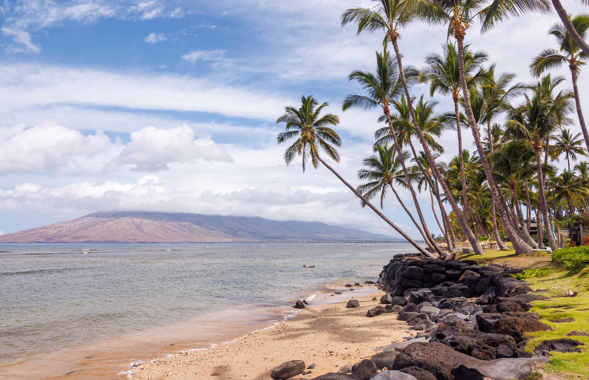 Maui Beach with West Maui Mountain View A serene tropical beach scene in Maui, Hawaii, featuring coconut palms leaning over a sandy