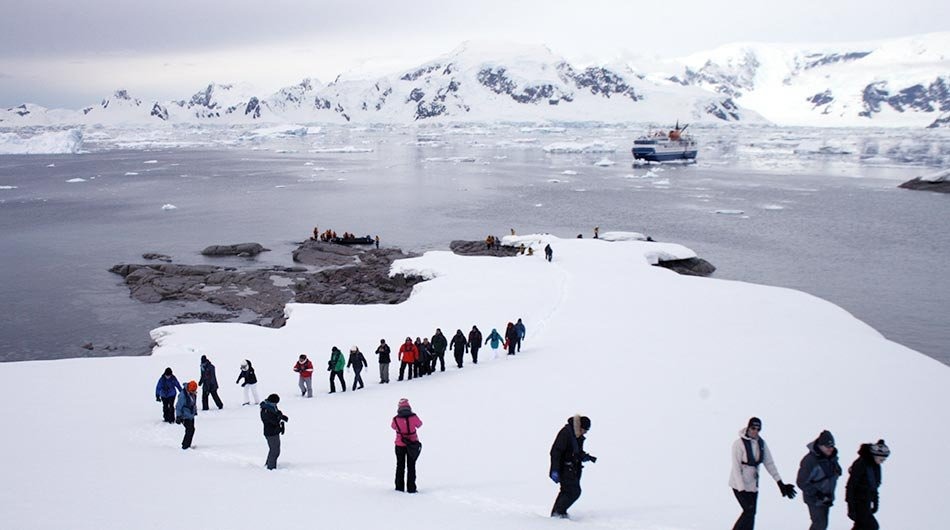 Ocean Nova Expedition Ship in Antarctic Waters A group of expedition tourists in colorful cold-weather gear walk across snow-covered ice floes