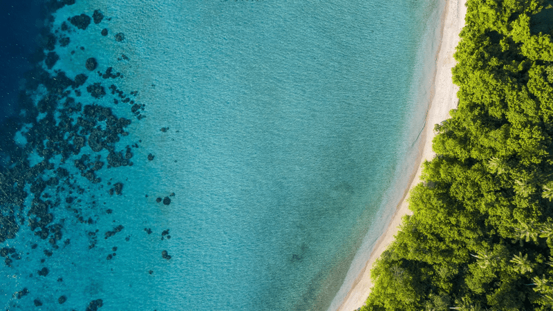 Pristine Coastal Beach with Turquoise Waters and Forest An aerial view of a picturesque coastline featuring crystal-clear turquoise waters meeting