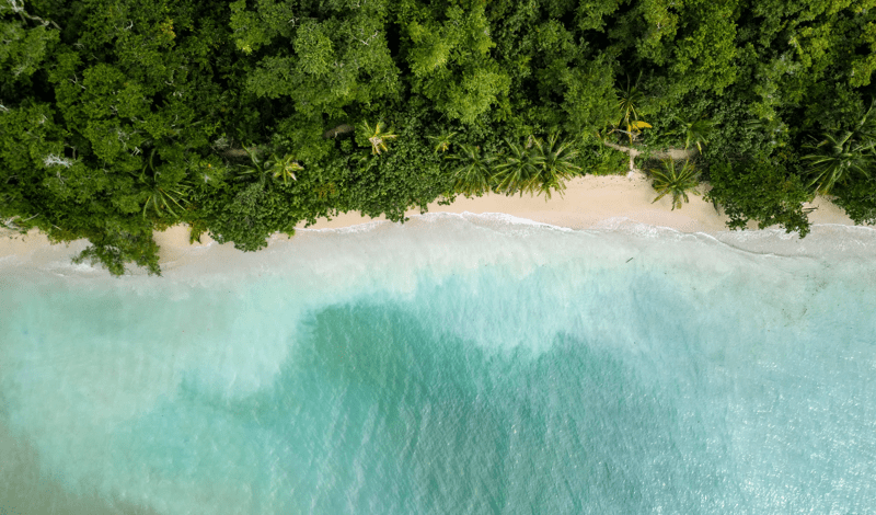 An aerial perspective of a pristine tropical beach with turquoise shallow waters meeting white