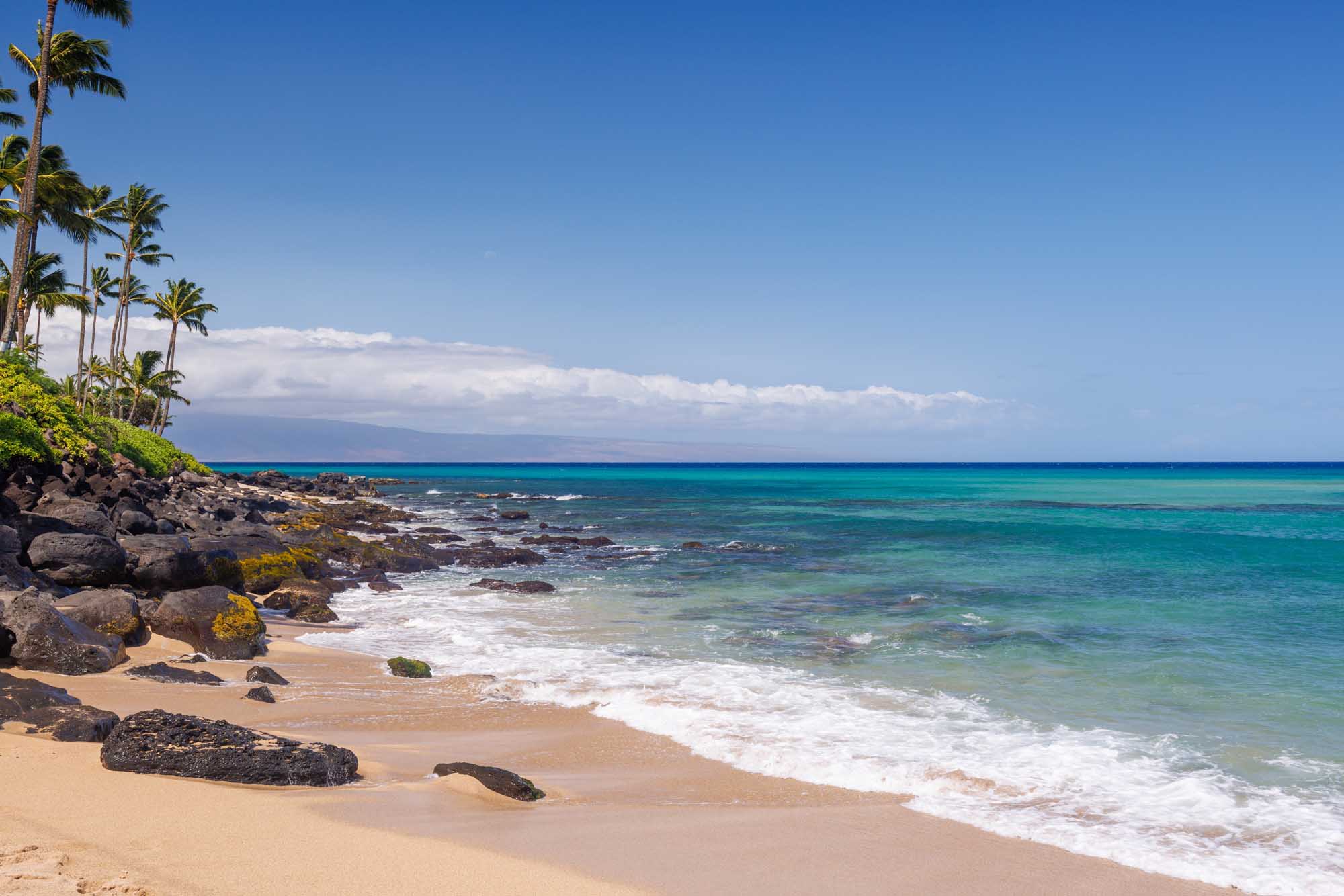 Tropical Beach Cove with Palm Trees and Turquoise Waters A scenic tropical beach on Maui, Hawaii featuring pristine golden sand, crystal-clear turquoise
