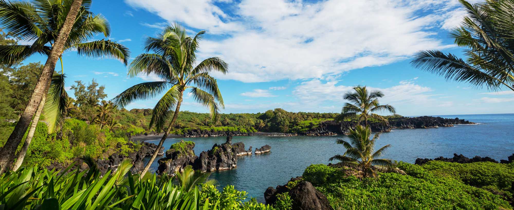 Tropical Coastal Cove on Maui Island A stunning tropical seascape featuring lush palm trees, dramatic black volcanic rock formations