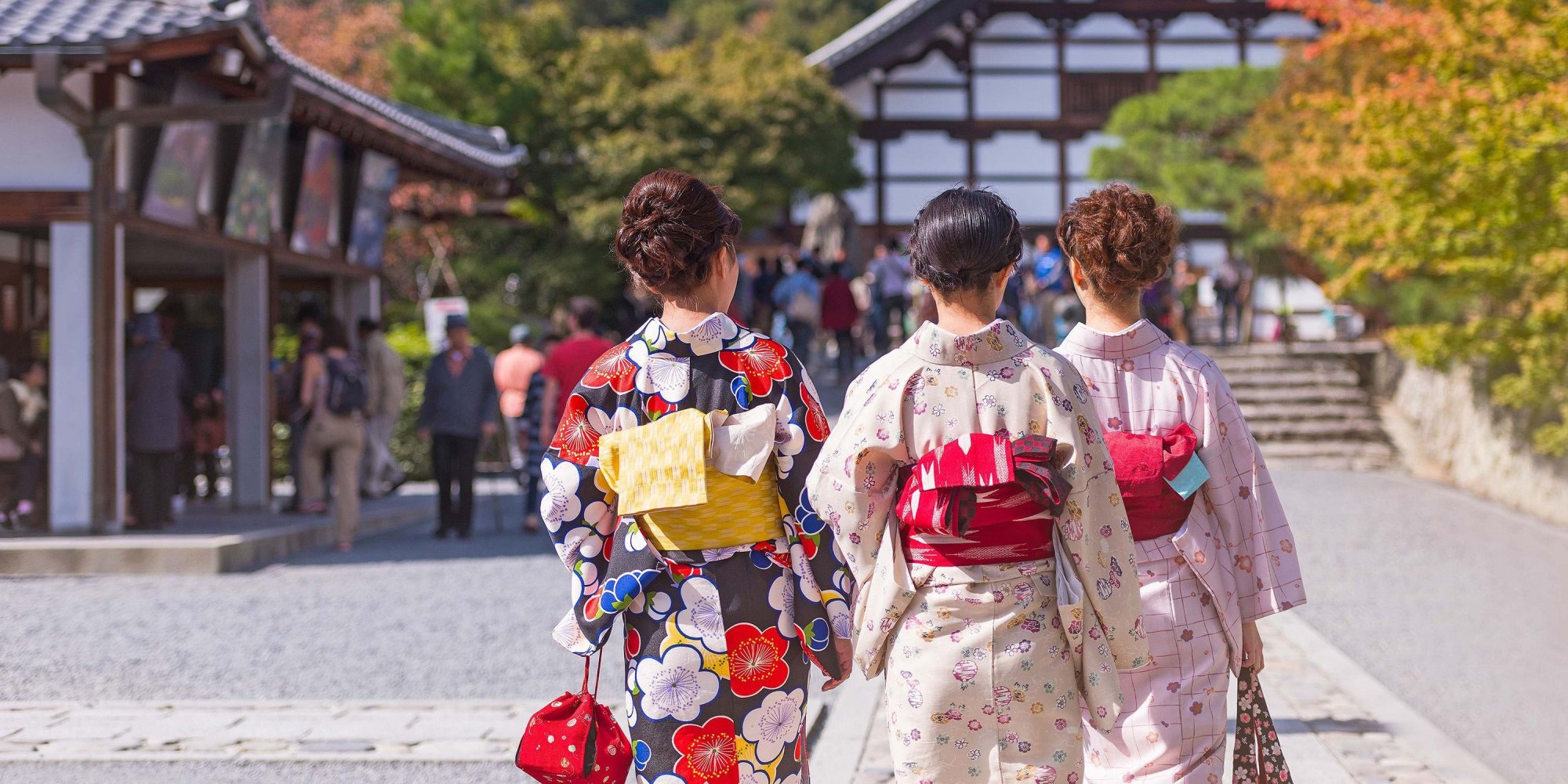 Women in Traditional Kimono at Tenryu-ji Temple Three women wearing traditional Japanese kimonos with elaborate obi sashes walk through the grounds